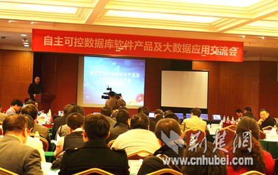 湖北軟件產(chǎn)業(yè)發(fā)展加速，漢產(chǎn)數(shù)據(jù)庫品牌挺進國際市場